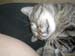 DSCN0217