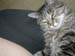 DSCN0218