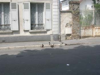 DSCN0190