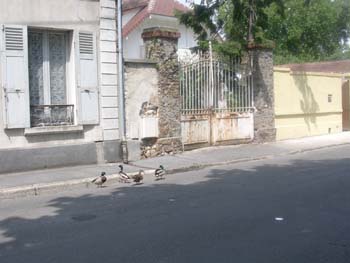 DSCN0192