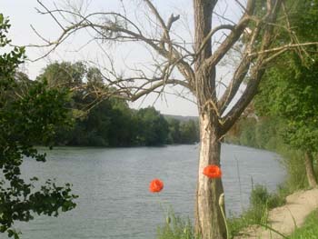 DSCN0198