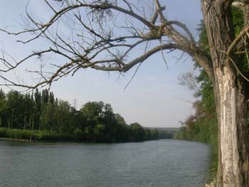 DSCN0199