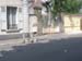 DSCN0192
