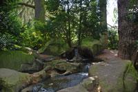 Cascade Parc Floral