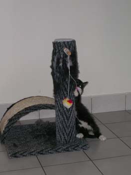 DSCN0906