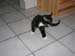 DSCN0887