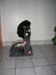 DSCN0910