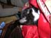 DSCN0918