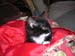 DSCN0919