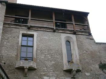 DSCN0264