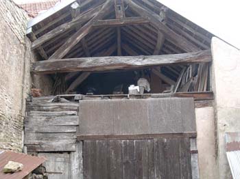 DSCN0281