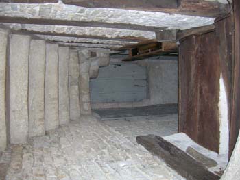 DSCN0971