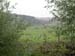 DSCN0267